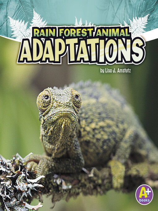 Cover image for Rain Forest Animal Adaptations
